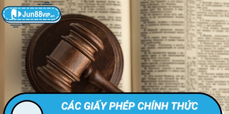 Các giấy phép chính thức đang sở hữu